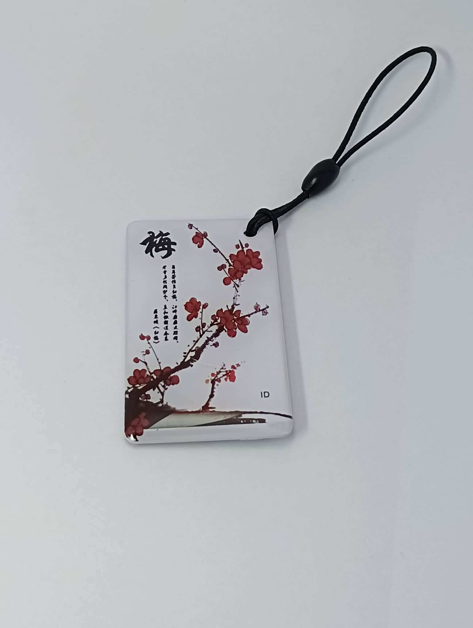 card-into-key-tag-021 card-into-key-tag-021